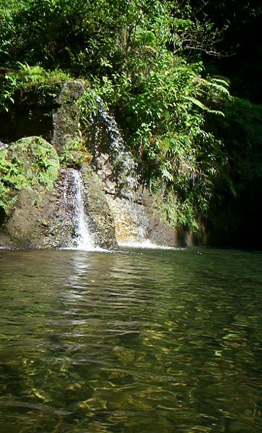 Wasserfall auf Dominica